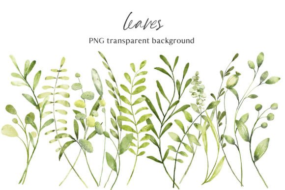 Download Leaves, Watercolor Clipart, PNG Files. - Png files Collection